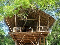 Back of Beyond - Dehigaha Ela - Damba Tree House