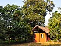 Back of Beyond - Dehigaha Ela - Bedroom Ground