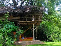 Back of Beyond - Dehigaha Ela -  Damba Tree House