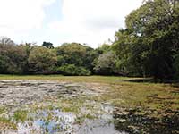 Kaludiya Pokuna