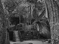 Sigiriya