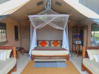 Dune Camp - Yala- Kotiya (Leopard) Tent