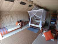 Dune Camp - Yala