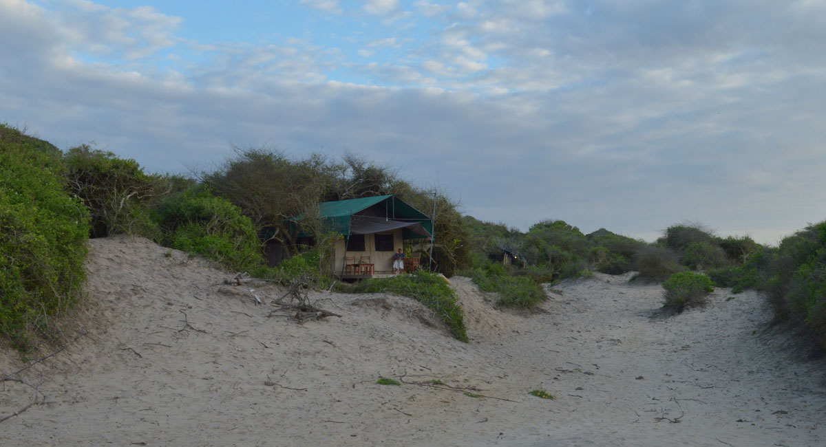 Front verandah