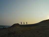 Dune Camp - Yala- Things to do