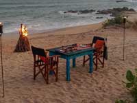 Dune Camp - Yala- Things to do