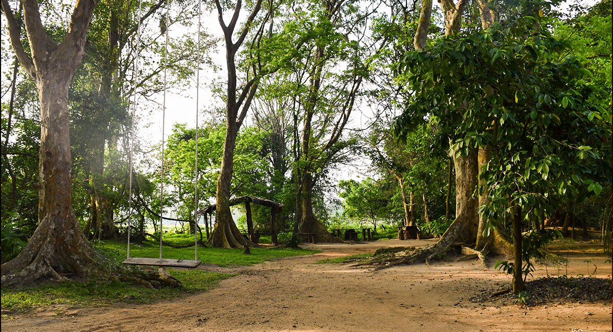 Front verandah