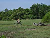 Cycling in reservation bordering the property