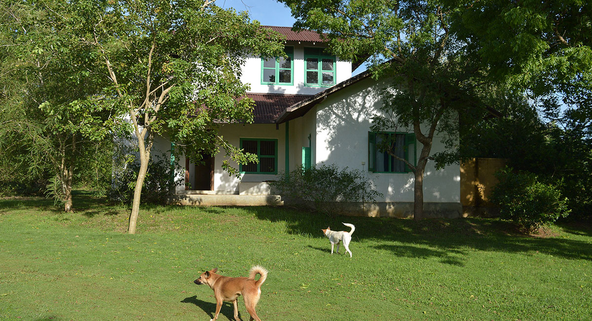 Wellness Retreat Gallery - Villa Front View