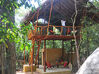 Treehouse