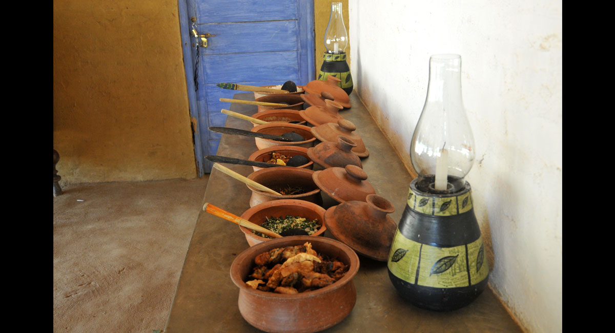 Safari Lodge Yala Rice & Curry