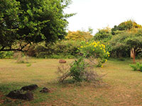 Safari Lodge Yala Surrounding