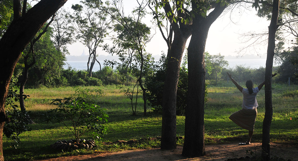 morning garden