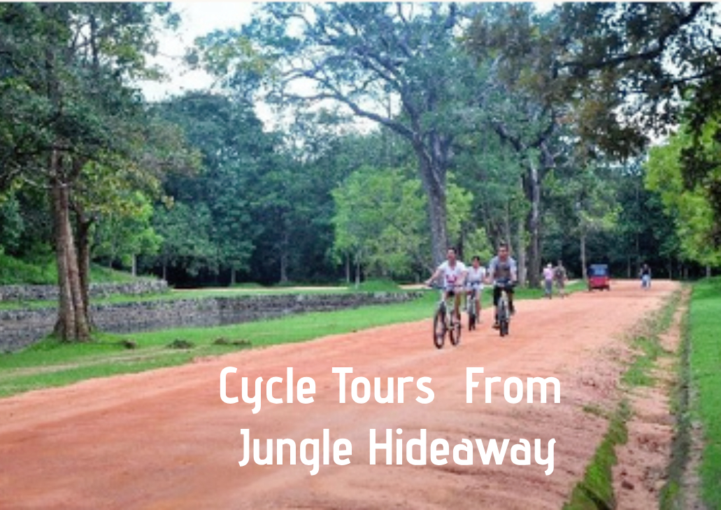 Back of Beyond - 3 Nights Offer